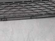 Grill BJ3217K945A Land + Range Rover Range Rover Evoque (LVJ/LVS) SUV 2.2 SD4 16V (224DT(Euro 5))