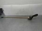 Türgriff Innen Links Hinten Peugeot BOXER CAJA ABIERTA (RS3700)(330/350)(´02->) 2.8 HDI