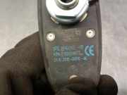 Antenne 920204072 Opel Corsa F (UB/UH/UP) Schrägheck 5-drs 1.2 Turbo 12V 100 (F12XHL(EB2ADTD))