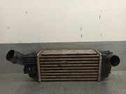 Ladeluftkühler 9683009680 Peugeot 508 SW (8E/8U) Kombi 2.0 HDiF 16V (DW10CTED4(RHH))