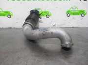 Schlauch 14460BN1310 Nissan ALMERA (N16/E) 2.2 16V Turbodiesel CAT