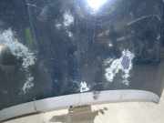 Motorhaube 51701140 Fiat Grande Punto (199) Schrägheck 1.3 JTD Multijet 16V (199.A.2000)