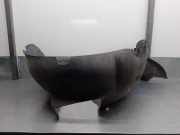 Bedienung Klimacontrolle MN1T18C612AB Ford Puma SUV 1.0 Ti-VCT EcoBoost mHEV 12V (B7JB)