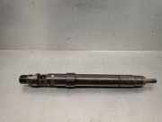 Kraftstoff-Injector 9686191080 Peugeot Expert (G9) Van 2.0 HDiF 16V 130 (RH02)