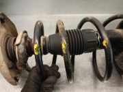 Achsschenkel Halter Rechts Hinten 6Q0501117 Seat Ibiza III (6L1) Schrägheck 1.9 TDI 100 (ATD)