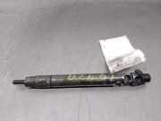 Kraftstoff-Injector R00101D CitroÃ«n CITROÃ‹N (EA_, EB_) 2.0 HDi 165