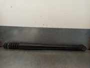 Stoßdämpfer Rechts Hinten DV6118080HG Ford TRANSIT CONNECT 1.6 TDCi CAT