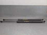 Gasdruckfedern Set Hinten 8200665709 Renault / GRAND (F/JP0_) 1.6 (JP03, JP0B, JP0U, JP0Y, JP1G)