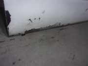 T?r Rechts Vorne 4401287 Opel (2004 =>) 2.5 CDTI CAT (G9U-A750)