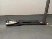 Motorhalter Rechts 1M516F012 Ford (TC7) 1.8 TDCi CAT