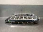 Grill 51117210725 BMW X4 (F26) SAC SUV xDrive20d 16V (B47-D20A)