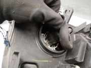 Lichtschalter 6N0953503D Volkswagen Polo III (6N1) Schrägheck 1.0i 45 (AEV) AEV