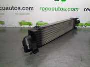 Radiator 8200189290 Renault I FASE 2 CLASSIC (LA..) 1.6