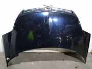 Motorhaube 7901N3 Citroën C8 (EA/EB) Großraumlimousine 2.2 HDi 16V (DW12TED4.FAP(4HW))