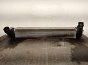 Ladeluftkühler 144960022R Renault Megane III Coupe (DZ) Schrägheck 3-drs 1.9 dCi (F9Q-872(F9Q-P8))