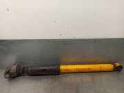 StoÃŸdÃ¤mpfer Links Hinten 8N0513025C Seat Leon (1M1) SchrÃ¤gheck 5-drs 1.9 TDI Cupra 4 (ARL)