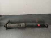 Stoßdämpfer Links Hinten 343423 Daewoo / Chevrolet Kalos (SF48) Schrägheck 1.2 (F12S3)