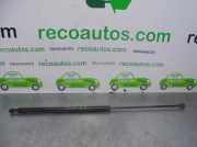 Gasdruckfeder Set Vorne 9629219580 Peugeot 306 Break (7E) Kombi 2.0 HDi (DW10TD(RHY))