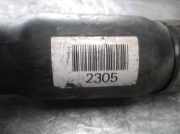 Motorhaube 1H6823031A Volkswagen Golf III (1H1) Schrägheck 1.9 TDI (AFN) AFN