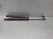 Gasdruckfedern Set Hinten 7708987 Citroën C6 (TD) Limousine 2.7 HDiF V6 24V (DT17TED4(UHZ))