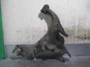 Querlenker Links Hinten Unten RGG500313 Land + Range Rover Range Rover Sport (LS) Gel?ndewagen 2.7 TDV6 24V (276DT)