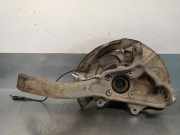 Achsschenkel Halter Links Vorne 31216773783 BMW X5 (E70) SUV xDrive 30d 3.0 24V (M57N2-D30(306D3))