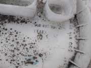 Tankschwimmer 4E0919679 Audi A8 (D3) Limousine 4.0 TDI V8 32V Quattro (ASE)