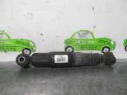 Stoßdämpfer Links Hinten 963423058 Citroën CITROËN 1.5 Diesel