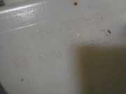 Scheibenwaschbehälter 1S7117618AB Ford Mondeo III Limousine 2.0 TDCi 130 16V (FMBA)