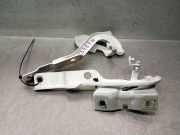 Kraftstoff-Injector 8200100272 Renault LAGUNA II (BG0) 1.9 dCi Diesel