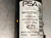 Stoßdämpfer Links Vorne 98445120800 DS DS 3/Crossback (UC/UJ/UR) Schrägheck 1.2 12V PureTech 130 (EB2ADTS(HNS)) EB2ADTS(HNS)