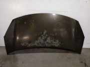 Motorhaube 7901R1 Citroën C3 (SC) Schrägheck 5-drs 1.6 HDi 92 (DV6DTED(9HP))