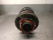 Stoßdämpfer Rechts Vorne 54302CB00J Nissan Murano (Z50) SUV 3.5 V6 24V 4x4 (VQ35DE)