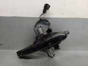 Türgriff Außen Links Hinten 8X2322400ABW Jaguar XF (CC9) Limousine 2.7 D V6 24V (7G)