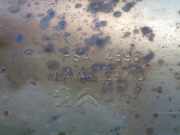 Auspuff Endtopf PSA4396 Citroën CITROËN JUMPY Kombi 1.6 Blue-HDI FAP