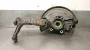 Achsschenkel Halter Links Vorne 8D0407253C Skoda Superb (3U4) Limousine 1.9 TDI 130 PD (AWX)