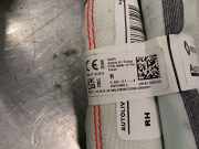 Kurbelwellen-Riemenscheibe 123033842R Dacia Sandero III Schrägheck 1.0 TCe 90 12V (H4D-470(H4D-E4))