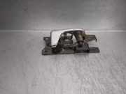 Türgriff Innen Links Hinten FVC102210 Land + Range Rover Discovery II Geländewagen 2.5 Td5 (10P)