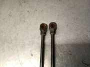 Gasdruckfedern Set Hinten 904502915R Renault ZOE (BFM_) ZOE