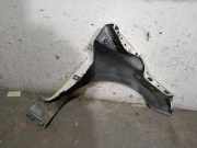 Kotflügel Links Vorne 631017984R Renault IV (BH_) 1.5 dCi 75