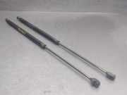 Gasdruckfedern Set Hinten 895827552A Audi Coup? (B3) Coup? 2.6 E (ABC)