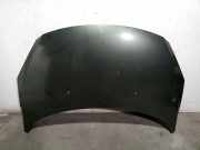 Motorhaube 7901L9 Peugeot 307 CC (3B) Cabrio 2.0 16V (EW10J4S(RFK))