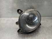 Nebelscheinwerfer Rechts Vorne 3B7941700A Volkswagen PASSAT VARIANT (3B6) 1.9 TDI AVF