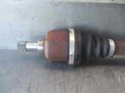 Radiator 2S6H8005AD Ford Fusion Kombi 1.4 TDCi (F6JA)