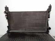 Radiator 51780659 Citroën CITROËN NEMO Nivel B