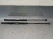 Gasdruckfeder Set Vorne 60688574 Alfa Romeo 159 Sportwagon (939BX) Kombi 1.9 JTDm 16V (939.A.2000)