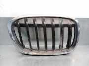 Grill 7354824 BMW X1 (F48) SUV sDrive 18d 2.0 16V (B47-C20A)