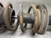 Stoßdämpfer Links Hinten 19019840 Ford Fiesta 3 Schrägheck 1.3 i,Classic (J6B(HCS))