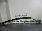 Vorhang Airbag Links VOOR 0366948A Citroën C5 II Berline (RC) Schrägheck 2.0 HDiF 16V (DW10BTED4(RHR))