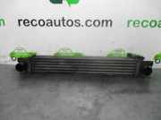 Ladeluftkühler 51790623 Peugeot BIPPER 1.4 HDi